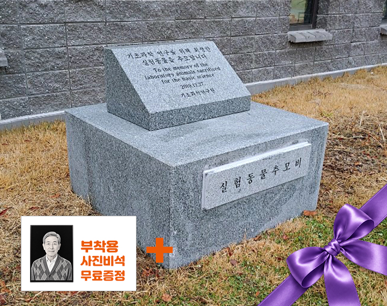 기념비 식수비 공덕비 O